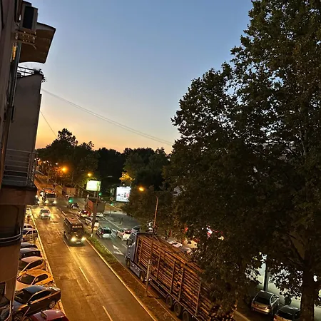 Loli * Kraljevo